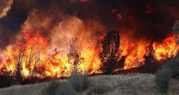 Φωτιά-στην-Κάρυστο:-Οι-πύρινες-φλόγες-πλησιάζουν-οικισμούς-–-Εκκενώσεις