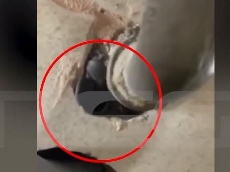 Βριλήσσια:-Σοκαρισμένη-η-σύζυγος-του-κομμωτή-που-έβλεπε-με-κάμερες…
